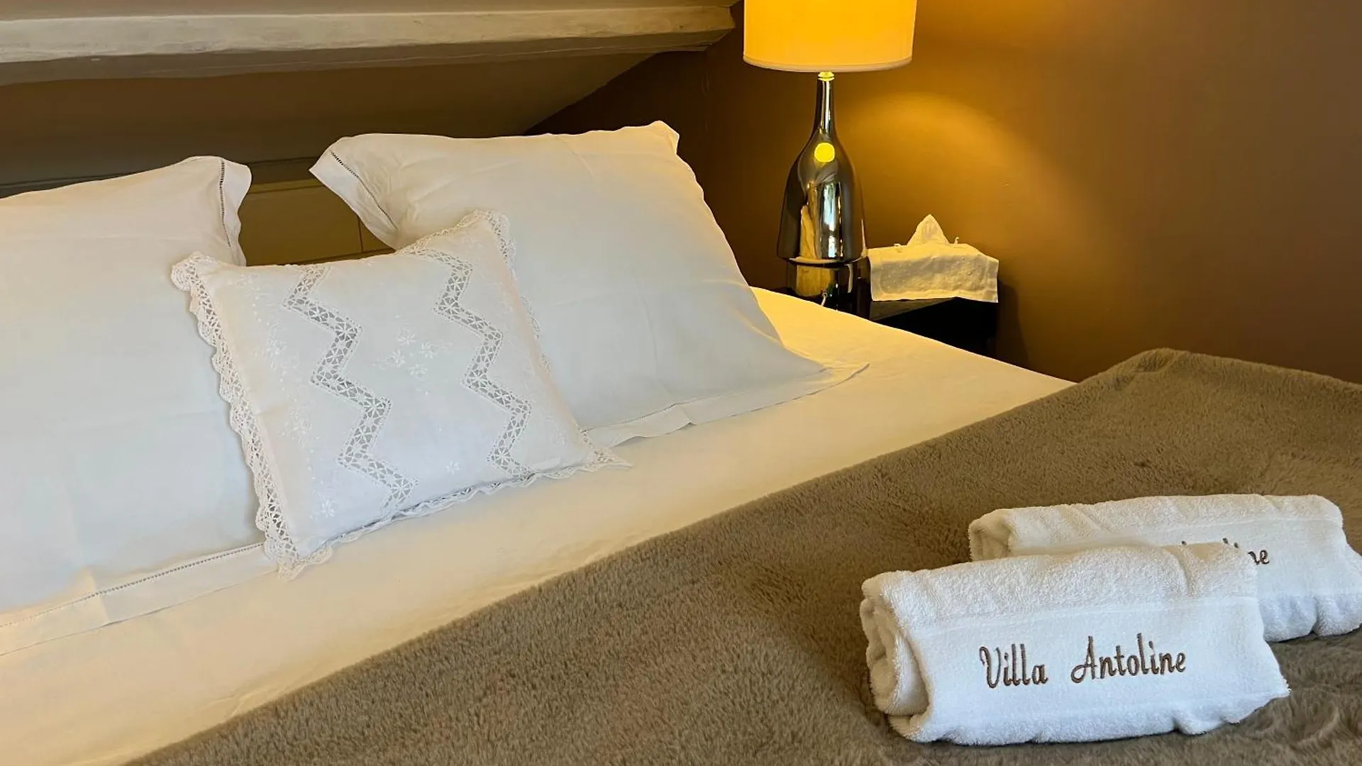 Villa Antoline Cagnes-sur-Mer Bed & Breakfast